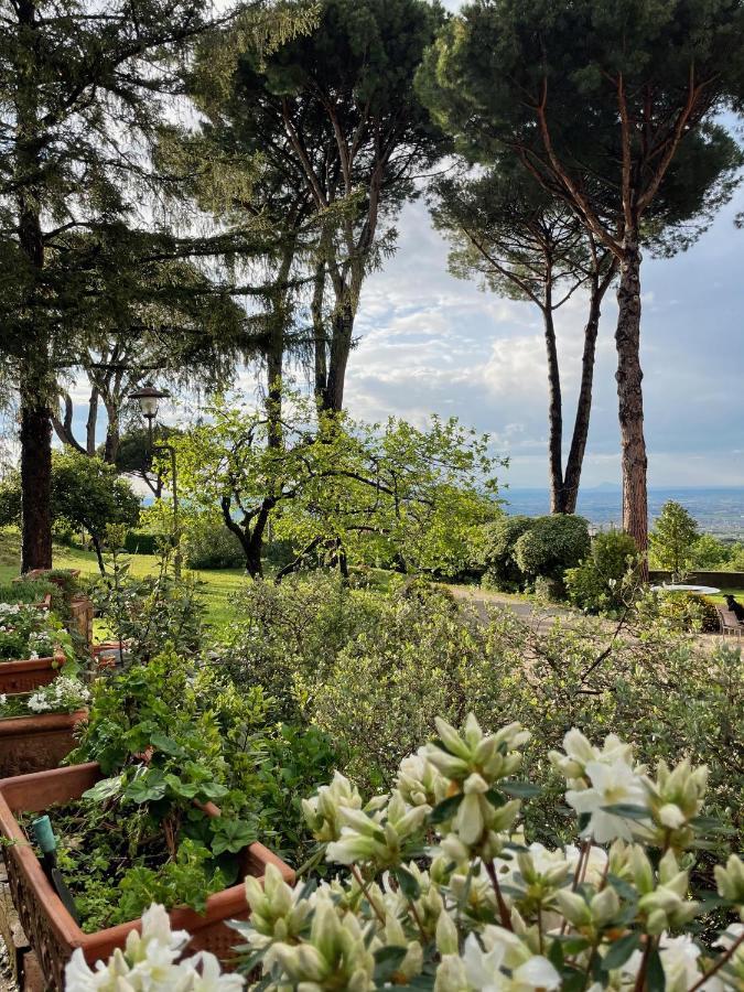 Appartamento Castelli Romani - Con Vista Su Roma Monte Porzio Catone Экстерьер фото